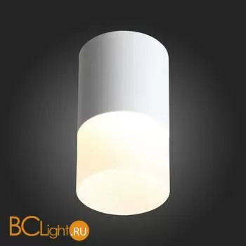 Потолочный светильник ST Luce Ottu ST100.542.10 - Фото 4