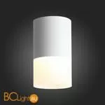 Потолочный светильник ST Luce Ottu ST100.542.10 - Фото 3