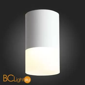 Потолочный светильник ST Luce Ottu ST100.542.05 - Фото 3