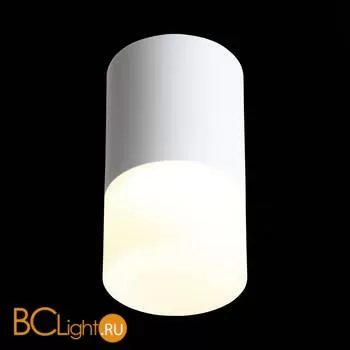 Потолочный светильник ST Luce Ottu ST100.542.05 - Фото 2