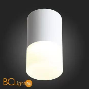 Потолочный светильник ST Luce Ottu ST100.542.05 - Фото 4