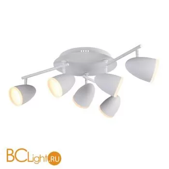 Потолочная люстра ST Luce Padivio SL387.501.06