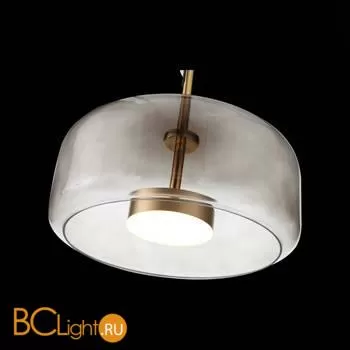 Подвесной светильник ST Luce Palochino SL1053.243.01 - Фото 5