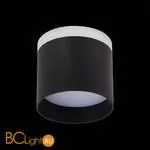 Спот ST Luce Panaggio ST102.442.09 - Фото 2