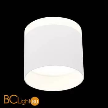 Спот ST Luce Panaggio ST102.542.12 - Фото 1