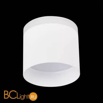 Спот ST Luce Panaggio ST102.542.12 - Фото 2