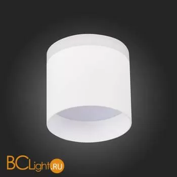 Спот ST Luce Panaggio ST102.542.09 - Фото 4