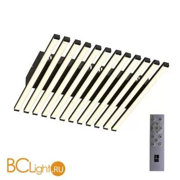 Потолочный светильник ST Luce Paralleli SL839.402.18