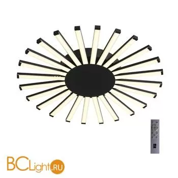 Потолочный светильник ST Luce Paralleli SL839.412.24