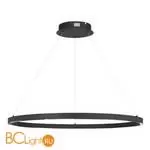 Подвесной светильник ST Luce PARILLA SL6238.443.01