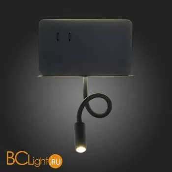 Настенный светильник ST Luce Pinaggio SL1576.401.02 - Фото 11