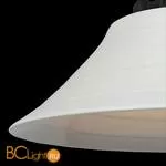 Подвесной светильник ST Luce Pittura SL261.503.01 - Фото 2