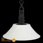 Подвесной светильник ST Luce Pittura SL261.503.01
