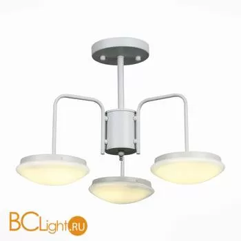 Потолочная люстра ST Luce Pratico SLE120.502.03