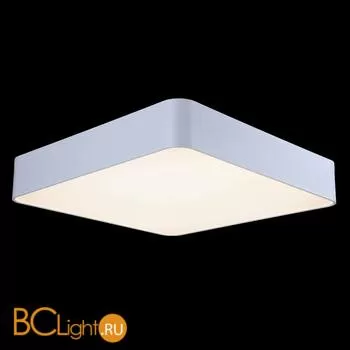 Потолочный светильник ST Luce Presente SL955.552.01