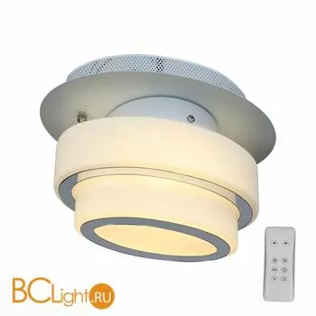 Потолочный светильник ST Luce Ovale SL546.501.01