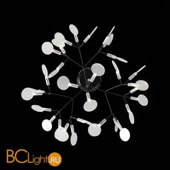 Люстра ST Luce Rafina SL379.403.30 - Фото 6