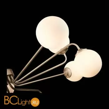 Люстра ST Luce Redjino SLE106203-12 - Фото 4