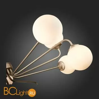 Люстра ST Luce Redjino SLE106203-12 - Фото 7