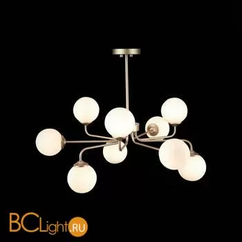 Люстра ST Luce Redjino SLE106203-09 - Фото 2