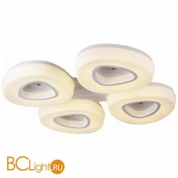 Потолочный светильник ST Luce Regen SL878.502.04-T5