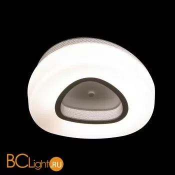 Потолочный светильник ST Luce SL878.502.01