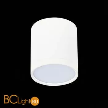 Потолочный светильник ST Luce Rene ST113.532.05 3000K 390Lm
