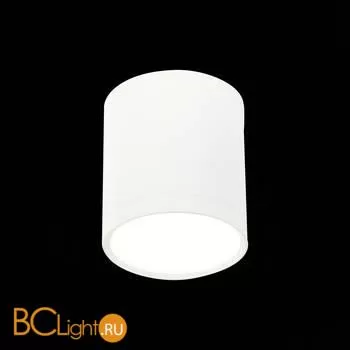 Потолочный светильник ST Luce Rene ST113.542.05 4000K 390Lm - Фото 0