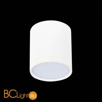 Потолочный светильник ST Luce Rene ST113.542.05 4000K 390Lm