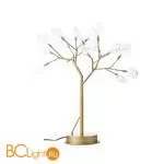 Настольная лампа ST Luce Riccardo SL411.204.18