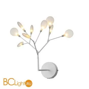 Бра ST Luce Riccardo SL411.521.09