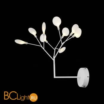 Бра ST Luce Riccardo SL411.521.09 - Фото 3