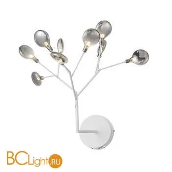 Бра ST Luce Riccardo SL411.511.09