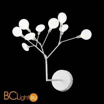 Бра ST Luce Riccardo SL411.501.09 - Фото 2