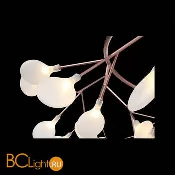 Люстра ST Luce Riccardo SL411.353.45 - Фото 6