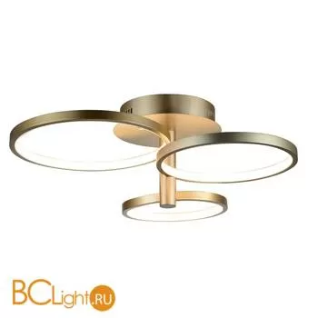 Потолочный светильник ST Luce Riccioli SL869.202.03