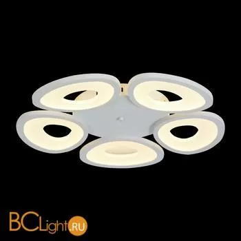 Потолочный светильник ST Luce SL929.502.05