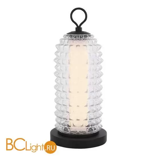 Настольная лампа ST Luce SAGUARO SL6144.404.01
