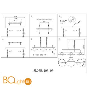 Подвесной светильник ST Luce Scarno SL265.403.03 - Схема
