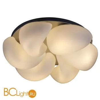 Потолочный светильник ST Luce SL538.502.06