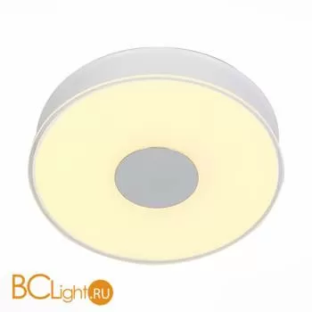 Потолочный светильник ST Luce Semplicita SL473.052.01D