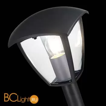 Садово-парковый фонарь ST Luce Sivino SL081.405.01 - Фото 4