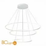 Подвесной светильник ST Luce Smart ST605.503.114