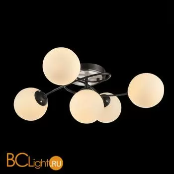 Потолочная люстра ST Luce Soltanto SL179.102.05