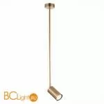 Подвесной светильник ST Luce Sormano SL1206.303.01