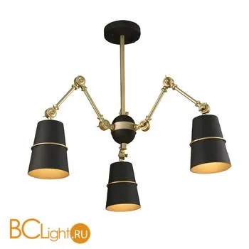 Потолочная люстра ST Luce Sorspreso SL458.422.03