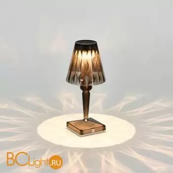 Настольная лампа ST Luce SPARKLE SL1010.734.01 - Фото 3