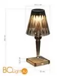 Настольная лампа ST Luce SPARKLE SL1010.734.01 - Фото 6