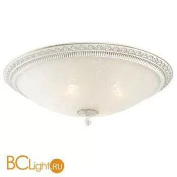 Потолочный светильник ST Luce SL135.502.04