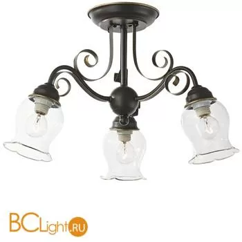 Потолочная люстра ST Luce SL145.302.03